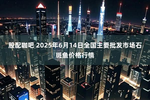 股配咖吧 2025年6月14日全国主要批发市场石斑鱼价格行情