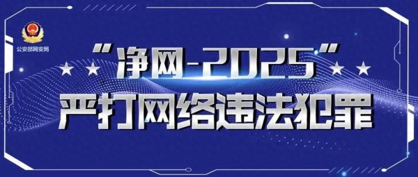 闪电策略 净网2025 代抢？录入？小心票圈陷阱