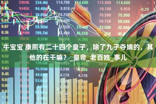 牛宝宝 康熙有二十四个皇子，除了九子夺嫡的，其他的在干嘛？_皇帝_老百姓_事儿