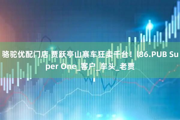 骆驼优配门店 贾跃亭山寨车狂卖千台！l86.PUB Super One_客户_车头_老贾